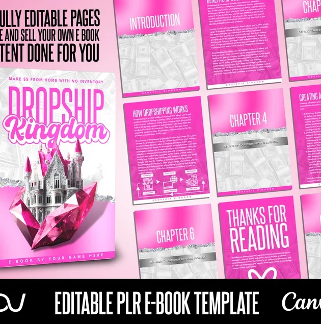 E-book PLR (derechos de reventa) sobre Dropshipping