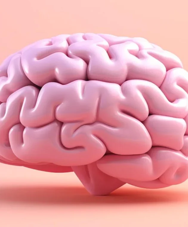 The Complete Shopify Dropshipping Course (con subtítulos  automáticos en español)